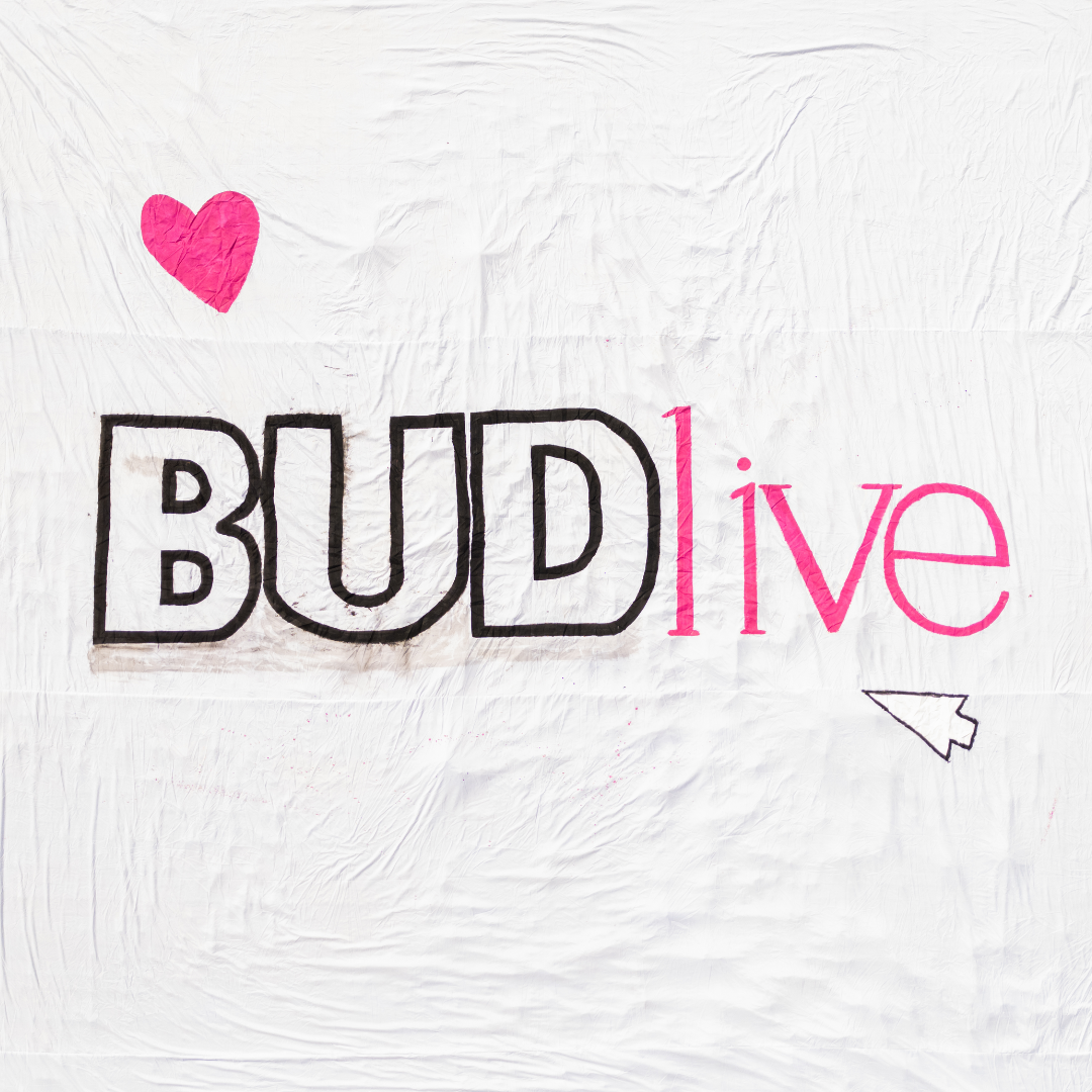 Plátno uprostřed zaujímá logo českobudějovického magazínu, nápis: BUDlive. Písmena B,U,D jsou velká tiskací a růžová, písmena l,i,v,e těsně navazují a jsou malá, tiskací, černá. V levém horním rohu je nad logem ještě červené srdce a pod ním, v pravém rohu počítačový kurzor ve tvaru šipky. Celý výjev působí jako na počítačové obrazovce, na kterou divák hodlá kliknout