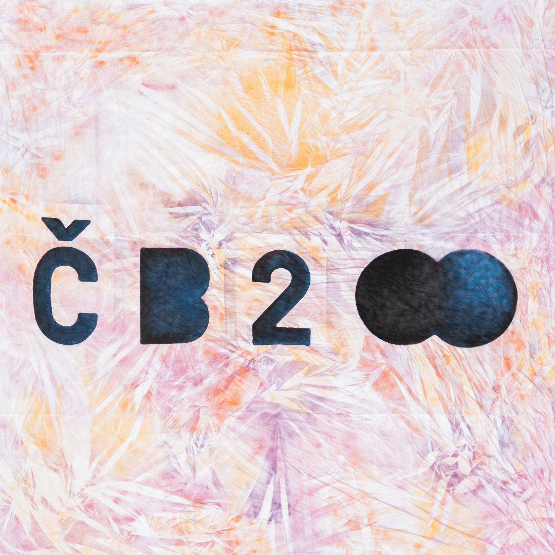 Podklad plátna je nasprejovaný pastelovými odstíny žluté, oranžové, růžové a fialové přes různým způsobem mačkané a řasené plátno. To tvoří jemný barevný podklad pro velký černý nápis: ČB 2” s tím, že osmička je ležatá a vypadá jako symbol pro nekonečno.